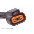 Capteur, vitesse de roue avant gauche BLUE PRINT ADG07191 - Visuel 2