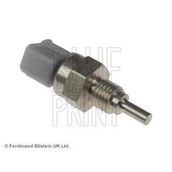 Sonde de température, liquide de refroidissement BLUE PRINT