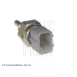 Sonde de température, liquide de refroidissement BLUE PRINT ADG07260 - Visuel 2
