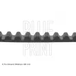 Courroie crantée BLUE PRINT ADG07533 - Visuel 2