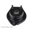 Coupelle de suspension BLUE PRINT ADG080268 - Visuel 2