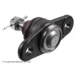 Rotule de suspension BLUE PRINT ADG086120 - Visuel 2