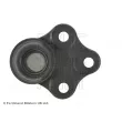 Rotule de suspension BLUE PRINT ADG08616 - Visuel 1
