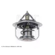 Thermostat d'eau BLUE PRINT ADG09202 - Visuel 2