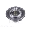 Thermostat d'eau BLUE PRINT ADG09203 - Visuel 1