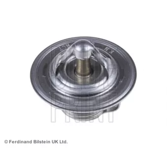 Thermostat d'eau BLUE PRINT ADG09203