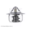 Thermostat d'eau BLUE PRINT ADG09203 - Visuel 2