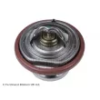 Thermostat d'eau BLUE PRINT ADG09214 - Visuel 1