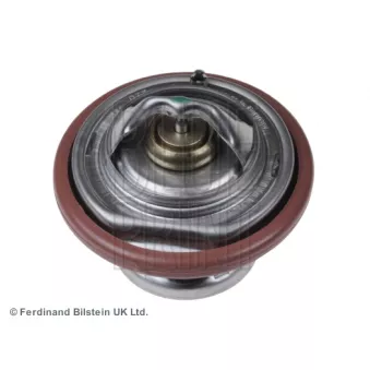 Thermostat d'eau BLUE PRINT ADG09214