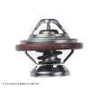 Thermostat d'eau BLUE PRINT ADG09214 - Visuel 2