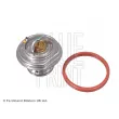 Thermostat d'eau BLUE PRINT ADG09215 - Visuel 1