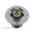Thermostat d'eau BLUE PRINT ADG09220 - Visuel 2
