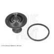 Thermostat d'eau BLUE PRINT ADG09221 - Visuel 1