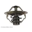 Thermostat d'eau BLUE PRINT ADG09233 - Visuel 2