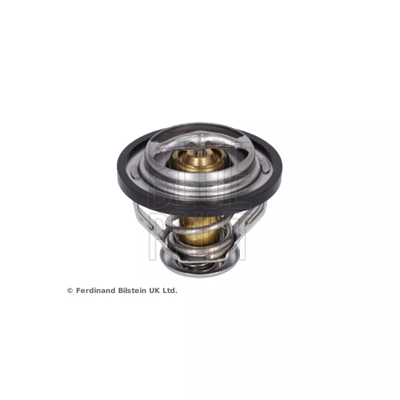 Thermostat d'eau BLUE PRINT ADG09235