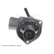 Thermostat d'eau BLUE PRINT ADG09237 - Visuel 3