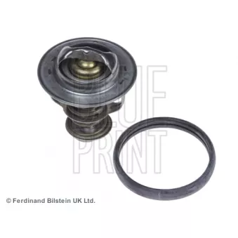 Thermostat d'eau BLUE PRINT ADG09238