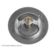 Thermostat d'eau BLUE PRINT ADG09241 - Visuel 2