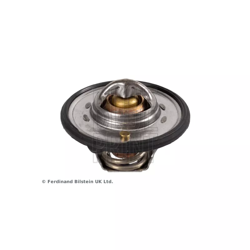 Thermostat d'eau BLUE PRINT ADG09245