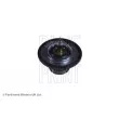 Thermostat d'eau BLUE PRINT ADG09250 - Visuel 1