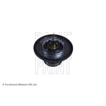 Thermostat d'eau BLUE PRINT ADG09250