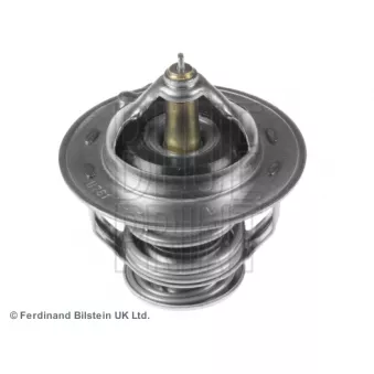 Thermostat d'eau BLUE PRINT ADG09251
