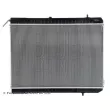 Radiateur, refroidissement du moteur BLUE PRINT ADG098129 - Visuel 1