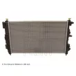 Radiateur, refroidissement du moteur BLUE PRINT ADG098136 - Visuel 2