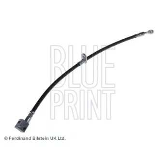 Flexible de frein avant gauche BLUE PRINT ADH253117