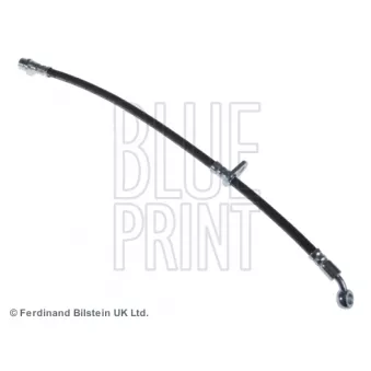 Flexible de frein arrière droit BLUE PRINT ADH253128