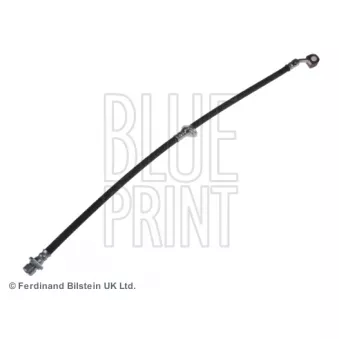 Flexible de frein avant droit BLUE PRINT ADH253140