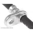 Flexible de frein BLUE PRINT ADH253178 - Visuel 3