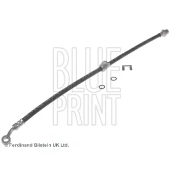 Flexible de frein avant droit BLUE PRINT ADH253186C