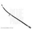 Flexible de frein avant gauche BLUE PRINT ADH253190 - Visuel 1