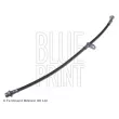 Flexible de frein avant gauche BLUE PRINT ADH253202 - Visuel 1