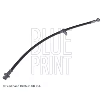 Flexible de frein avant droit BLUE PRINT ADH253203