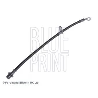 Flexible de frein BLUE PRINT