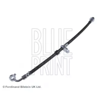 Flexible de frein avant droit BLUE PRINT ADH25376