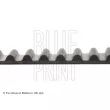 Courroie crantée BLUE PRINT ADH27531 - Visuel 2