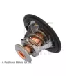 Thermostat d'eau BLUE PRINT ADH29207 - Visuel 2