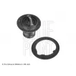 Thermostat d'eau BLUE PRINT ADH29214C - Visuel 1
