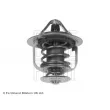 Thermostat d'eau BLUE PRINT ADH29214C - Visuel 2