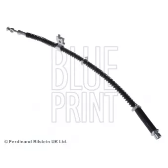 Flexible de frein arrière gauche BLUE PRINT ADJ135316