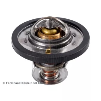 Thermostat d'eau BLUE PRINT ADJ139201