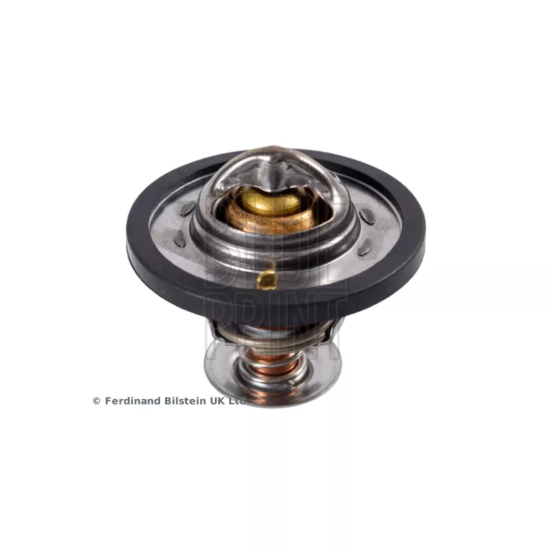 Thermostat d'eau BLUE PRINT ADJ139201