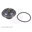 Thermostat d'eau BLUE PRINT ADJ139202 - Visuel 1
