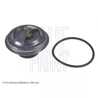 Thermostat d'eau BLUE PRINT ADJ139202