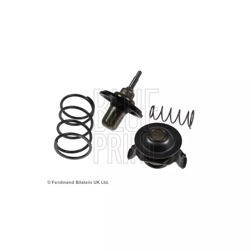 Thermostat d'eau BLUE PRINT ADJ139204