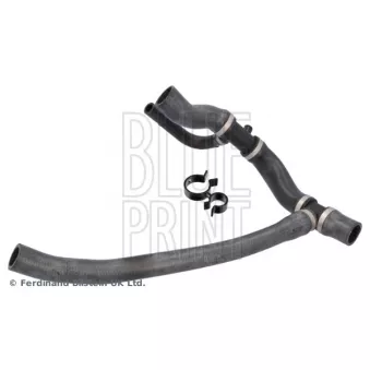 Durite de radiateur BLUE PRINT ADJ139302
