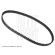 Courroie crantée BLUE PRINT ADK87503 - Visuel 1